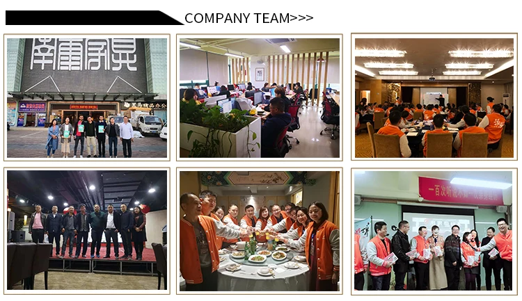 1.3 company team.jpg