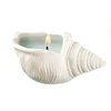 2013 new-coming hotsale ceramic sea shells