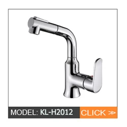 H2012 pull out faucet