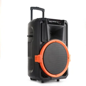 2019 15 Inch Trolley Speaker Subwoofer