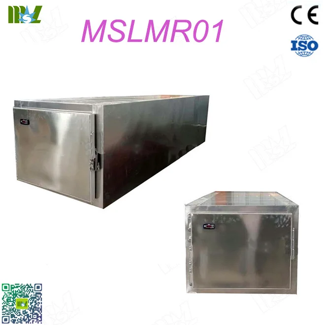 MSLMR01-1