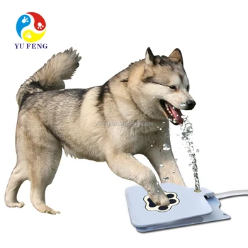 dog automatic water dispenser