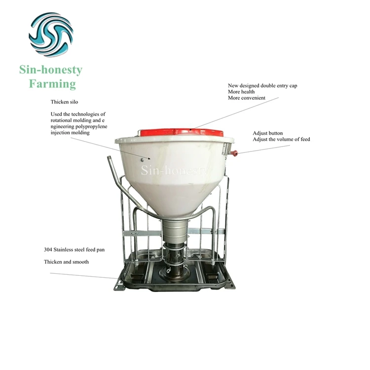 Auto Dry Wet Feeder Pigs For Sale
