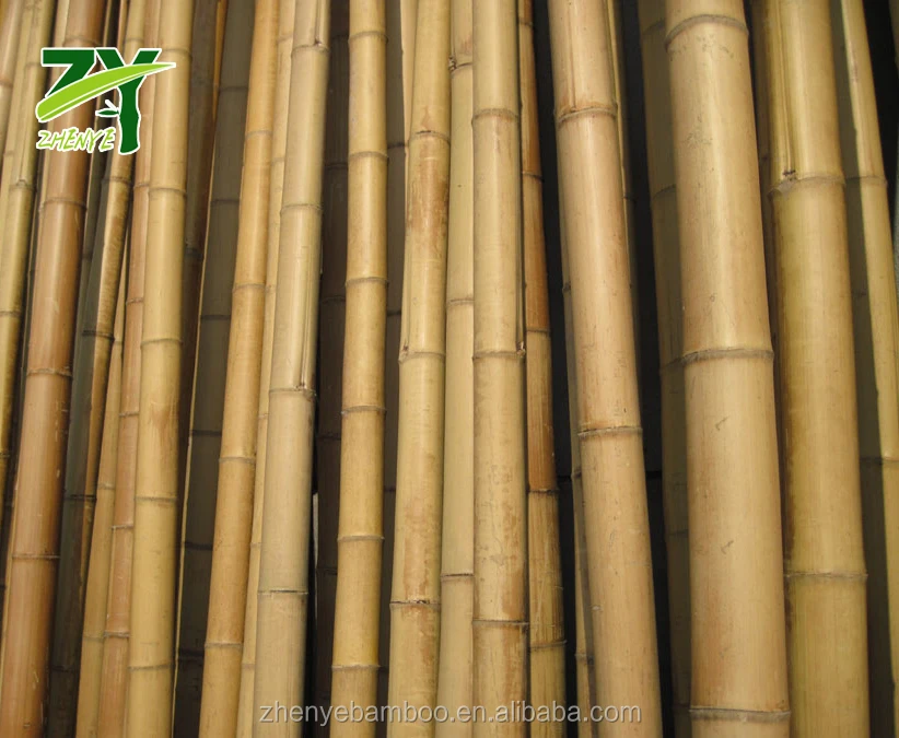 Hot!!! Zy1003 Bamboo Poles For Sales At Factory Cheap Rate,Bamboo Sticks For Hot Sales ! Buy