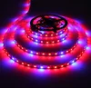 5m SMD5050 Grow LED Plant Grow Light DC12V Red Blue 3:1 4:1 5:1 for Greenhouse Hydroponic Plant LED Strip