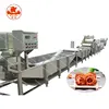 Professional Manufacture Dried fruit Chinese pear-leaved crab-apple making Machine line