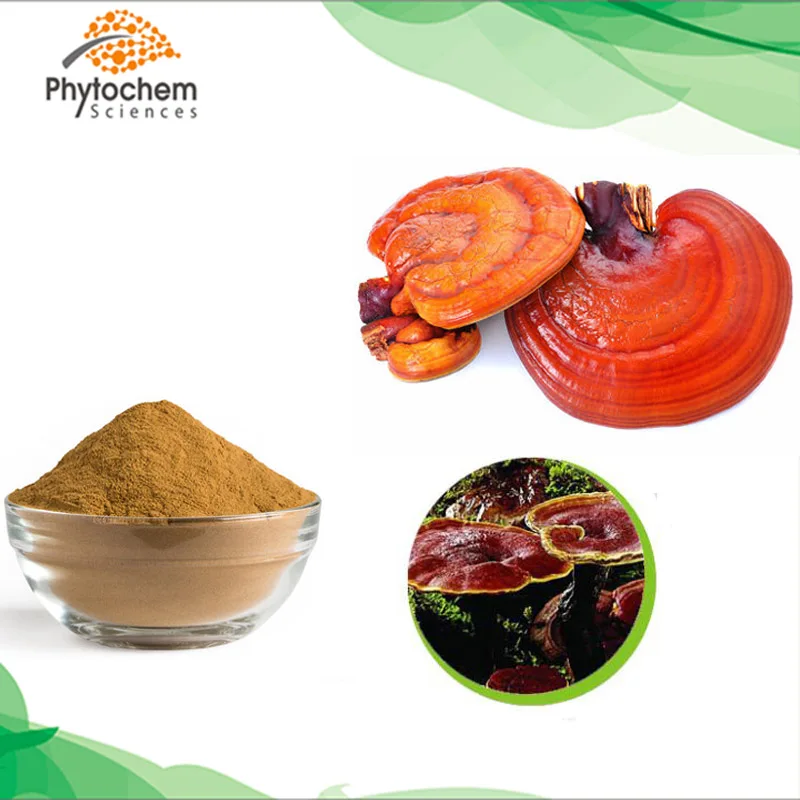 Factory Supply Polysaccharide 30% Triterpene Fresh Ganoderma lucidum Extract, 30% Polysaccharide Reishi Mushroom Extract