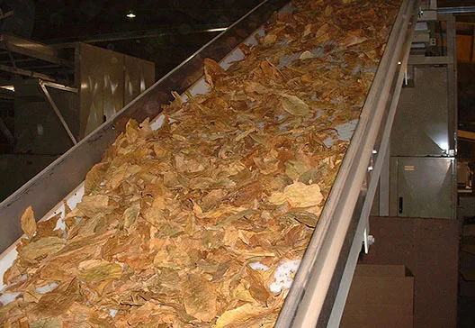 belt application (3)