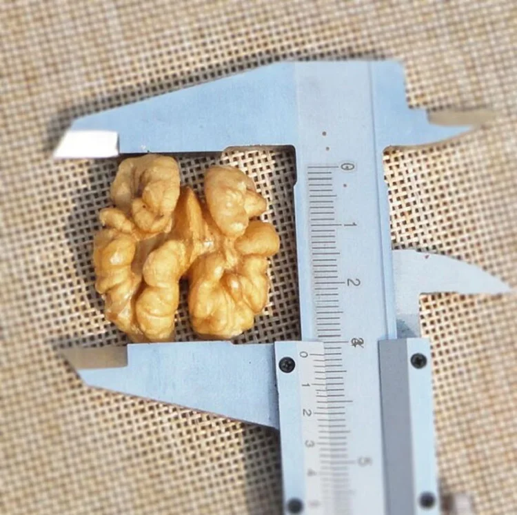 
Chinese xinjiang kernels walnut without shell walnut halves 