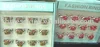 soft ceramic rings, fashion rings, fashion jewelry,costume jewelry,ceramics jewelry,special jewelry, woman accessories