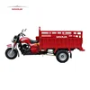 /product-detail/dayun-fekon-sanya-haojin-apsonic-royal-tricycle-three-wheel-motorcycle-150cc-200cc-250ccs-svajamotor-sj200-zh-60811150384.html