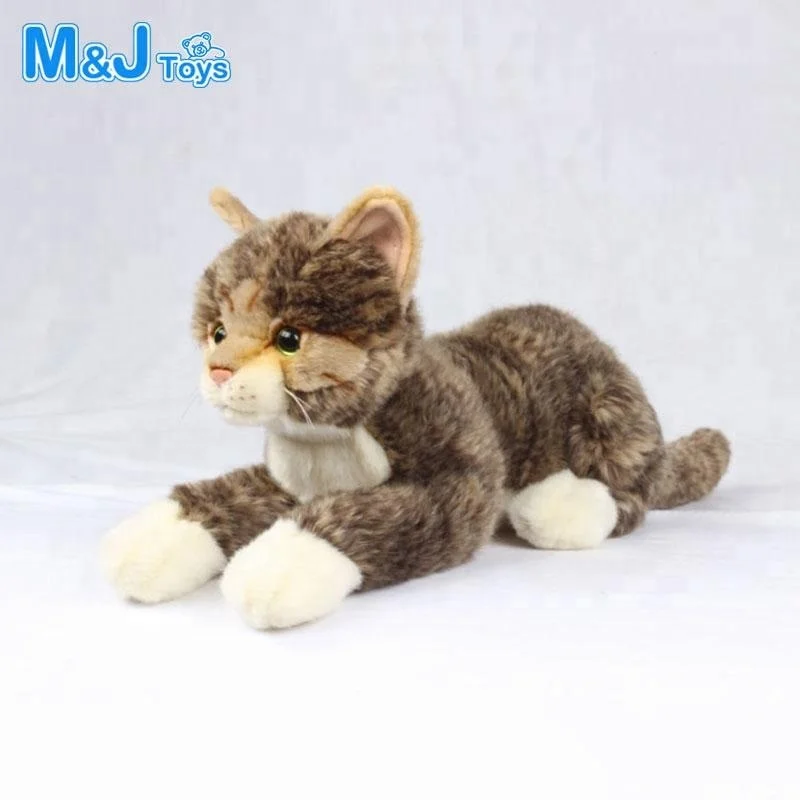 cats and stuffed animals