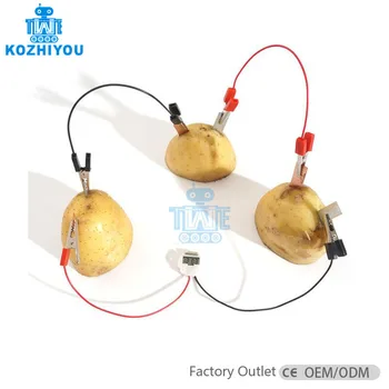 potato science kit