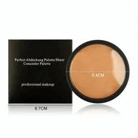 

Make Your Own No Logo Waterproof Makeup Concealer