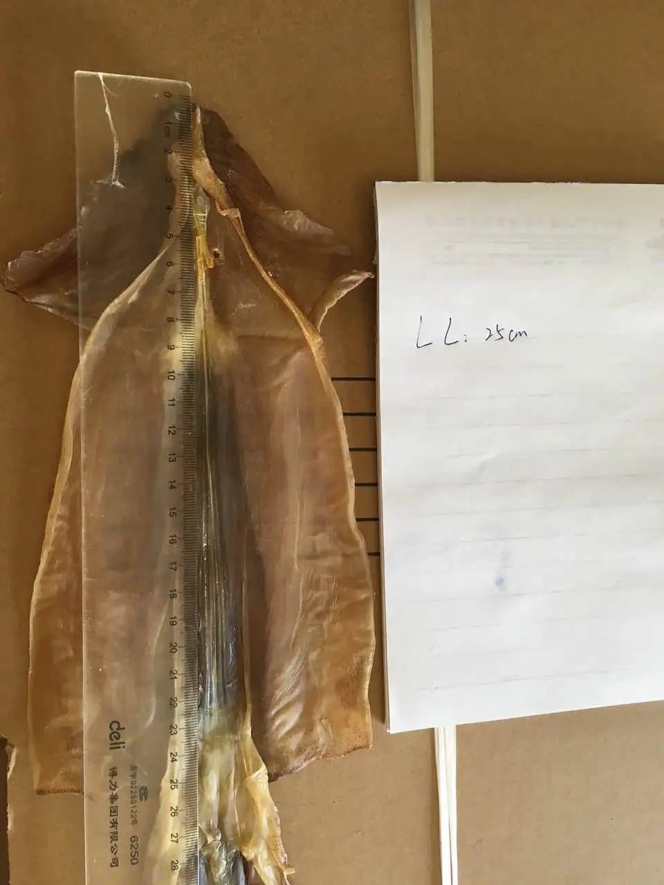 Vietnam Dried Squid Seafood Buy Dried Squid,Vietnam Dried Squid,Dried