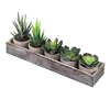 2019 NEW arrive Set of 5 Mini Succulent Cactus Aloe Potted Plant in Gray Pots Succulent Plants Wood Planter Arrangement
