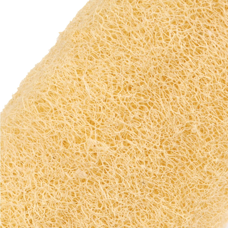 loofah sponge (2).jpg
