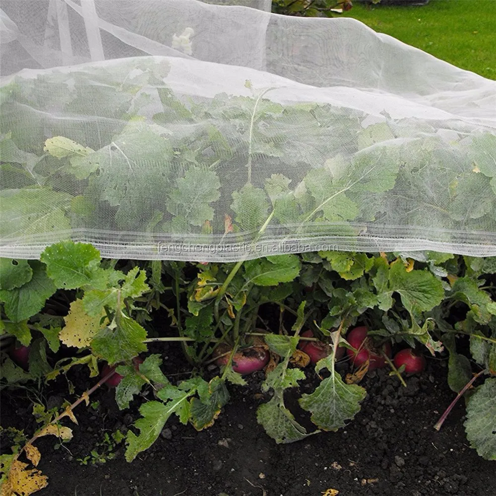 Transparent Insect Net for Plants - 40 Mesh Window Fly Screen & Anti ...