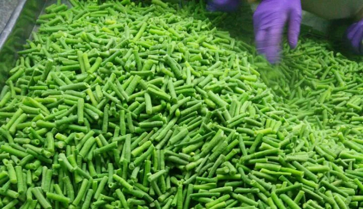 price for frozen green long bean (asparagus bean) small bags box