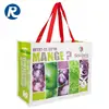Professional Manufacturers shopper algeria pp woven bag for packaging