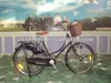 28 bicycle/cycle holland model FP-TR23
