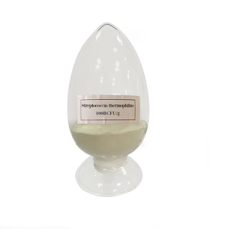 
Yogurt starter culture patent strain food ingredient raw material streptococcus thermophilus 