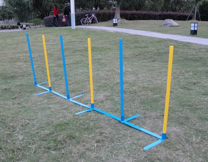 Pet Training Equipment Dog Training Equipment Buy Pet Training