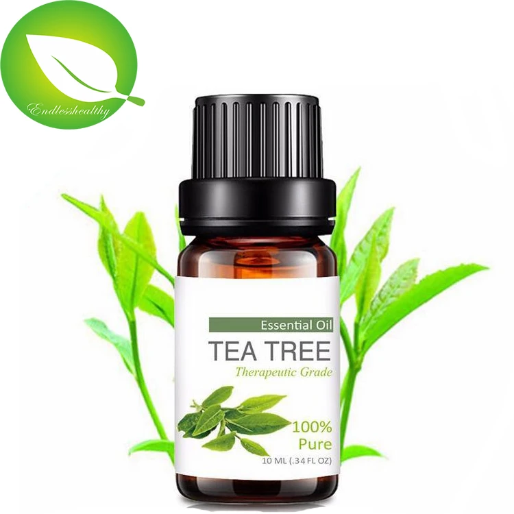 Чайное дерево форум. Чайное дерево. Масло чайного дерева. Эфирное масло чайного дерева. Масло чайного дерева айхерб.
