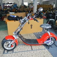 

EEC coc removable battery seev adult 1000W 1500W 2000W 800W motor 2 wheel electric scooter adult ATV citycoco