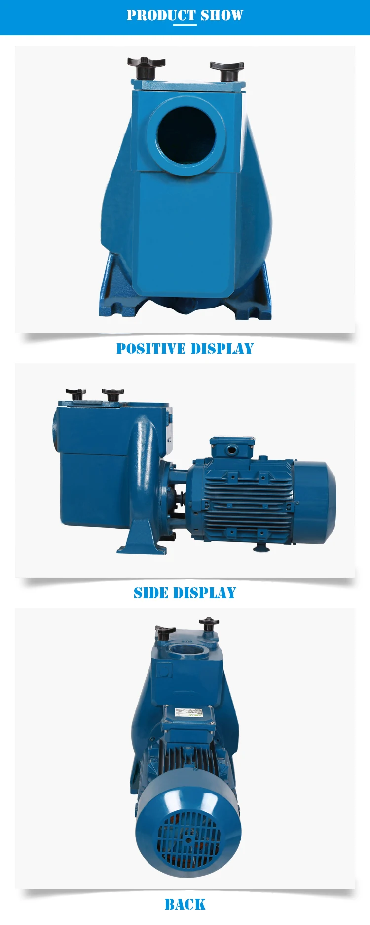 5.5 Hp Endless Electric Water Pump For Swimming Pool Buy Electric Water Pump,Pump For Swimming