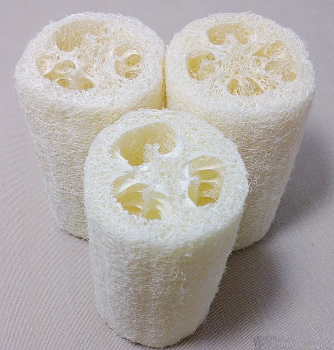 loofa (47).jpg