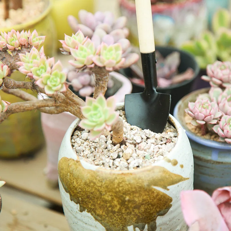 Succulents Planting Tools And Flowers Tools Mini Garden Hand Tools Kit
