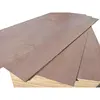 flexible Plywood
