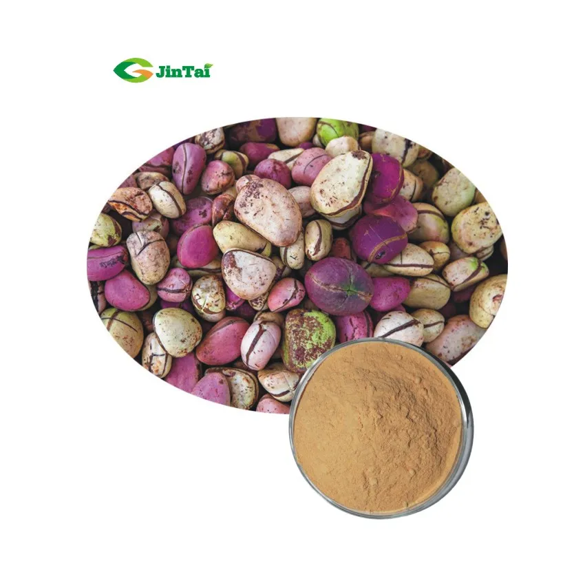 High Quality 101 201 Bitter Kola Nut Extract Buy Kola Nut Extract