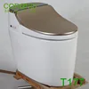 Sanitary ware concealed cistern electronic smart full automatic intelligent toilet