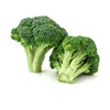 Egypt high bulk frozen broccoli with reasonable price