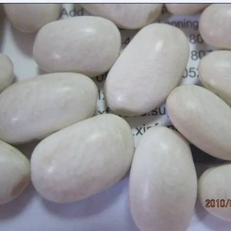 mid white bean.1.jpg