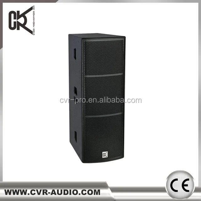 dual 12 inch speakers