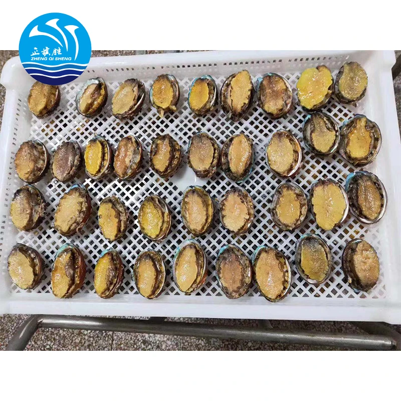 
frozen IQF abalone 