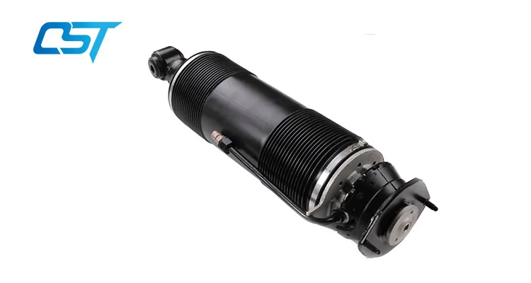 hydraulic strut left.jpg