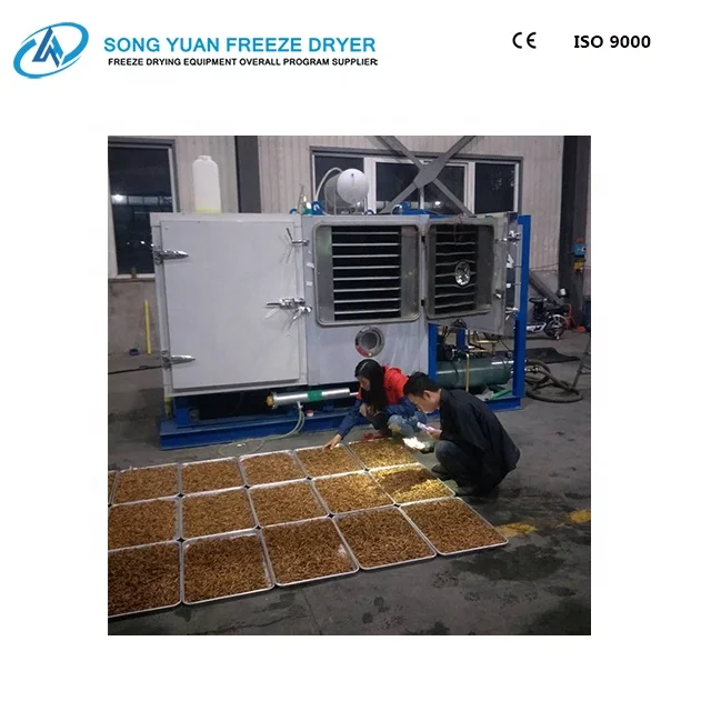 
cold drying machine freeze dried food machine industrial freeze drying machine LG-10 