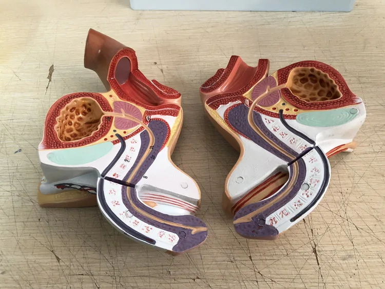 QQ20190122093846 .jpg