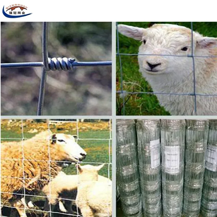 berita perusahaan terbaru tentang 4ft 5ft 6ft 8ft pagar tinggi peternakan kambing padang rumput pagar lapangan murah  3