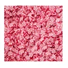 Cheap Price with High Quality 1 KG/Lot Two-tone Peppermint Polymer Clay Dessert Candy Slice Sprinkles for Slime or DIY Work