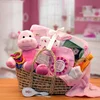 Precious Baby Moses Basket Gift (Pink or Blue)
