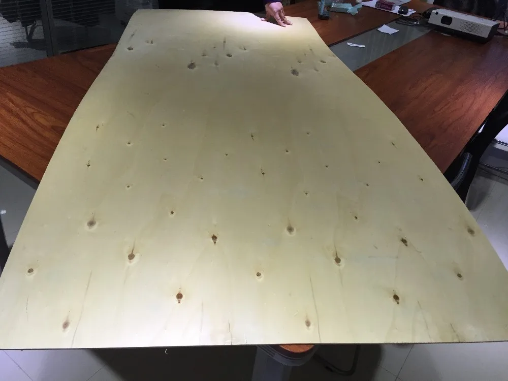 door skin panels with neneer face