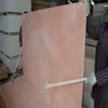 Edlon Wood Products timber lumber 9mm 12mm 15mm 18mm used Commercial plywood sheets for importers