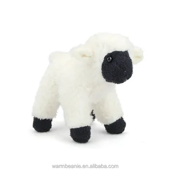black sheep teddy