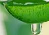 Natural Aloe Vera Extract Aloe vera gel for Food and Daily Products