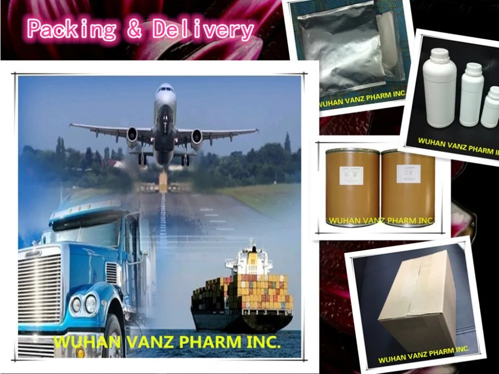 
CAS 1208319-26-9 Best Price Oclacitinib for dogs 